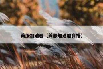 美服加速器（美服加速器自搭）