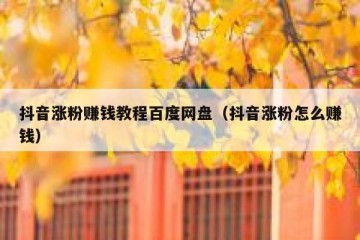 抖音涨粉赚钱教程百度网盘（抖音涨粉怎么赚钱）