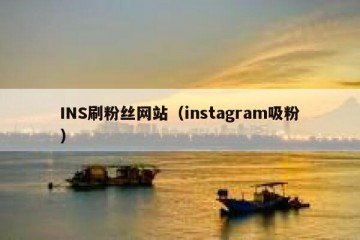INS刷粉丝网站（instagram吸粉）