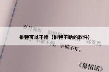 推特可以干啥（推特干啥的软件）