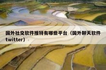 国外社交软件推特有哪些平台（国外聊天软件twitter）