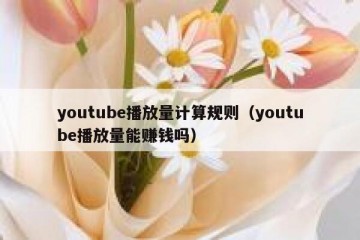 youtube播放量计算规则（youtube播放量能赚钱吗）