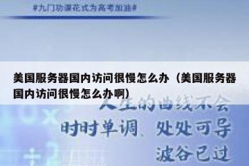美国服务器国内访问很慢怎么办（美国服务器国内访问很慢怎么办啊）