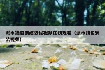 派币钱包创建教程视频在线观看（派币钱包安装视频）