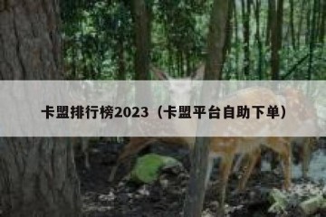 卡盟排行榜2023（卡盟平台自助下单）