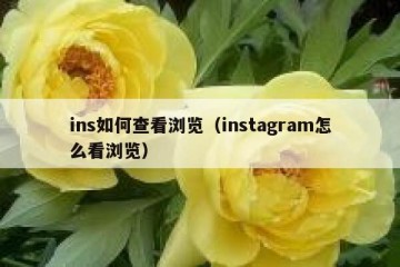ins如何查看浏览（instagram怎么看浏览）