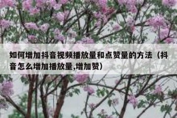 如何增加抖音视频播放量和点赞量的方法（抖音怎么增加播放量,增加赞）
