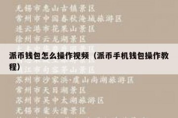 派币钱包怎么操作视频（派币手机钱包操作教程）