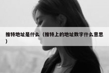 推特地址是什么（推特上的地址数字什么意思）