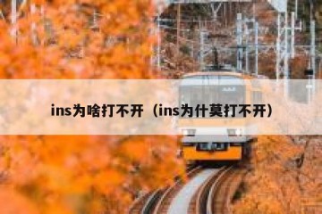 ins为啥打不开（ins为什莫打不开）