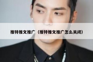 推特推文推广（推特推文推广怎么关闭）