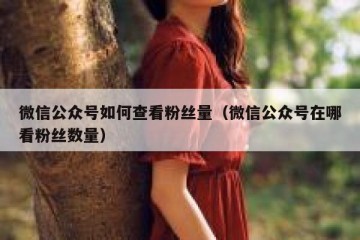微信公众号如何查看粉丝量（微信公众号在哪看粉丝数量）
