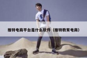 推特电商平台是什么软件（推特教育电商）