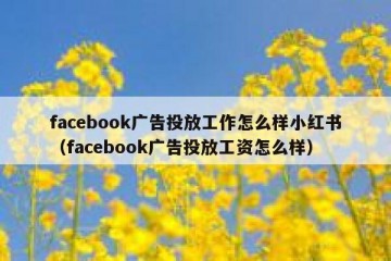 facebook广告投放工作怎么样小红书（facebook广告投放工资怎么样）