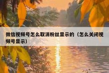 微信视频号怎么取消粉丝显示的（怎么关闭视频号显示）