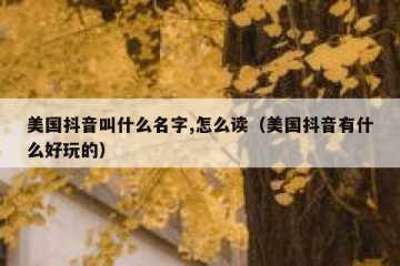 美国抖音叫什么名字,怎么读（美国抖音有什么好玩的）