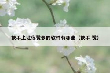 快手上让你赞多的软件有哪些（快手 赞）