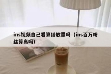 ins视频自己看算播放量吗（ins百万粉丝算高吗）