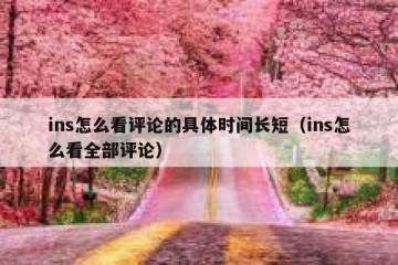 ins怎么看评论的具体时间长短（ins怎么看全部评论）