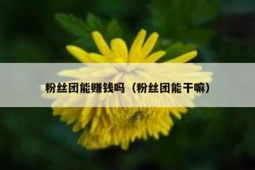 粉丝团能赚钱吗（粉丝团能干嘛）