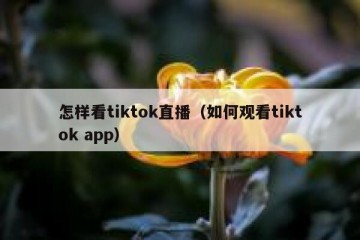 怎样看tiktok直播（如何观看tiktok app）