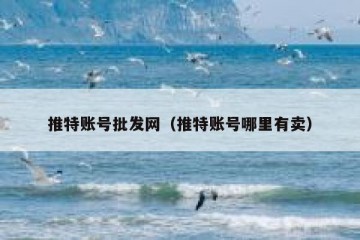 推特账号批发网（推特账号哪里有卖）