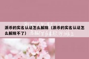 派币的实名认证怎么解除（派币的实名认证怎么解除不了）