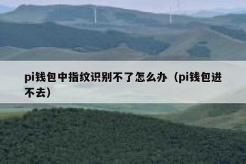 pi钱包中指纹识别不了怎么办（pi钱包进不去）