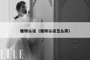 推特认证（推特认证怎么弄）
