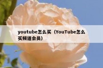 youtube怎么买（YouTube怎么买频道会员）