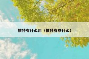 推特有什么用（推特有些什么）