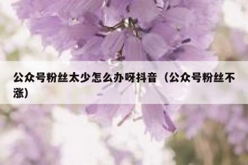 公众号粉丝太少怎么办呀抖音（公众号粉丝不涨）