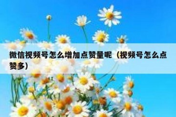 微信视频号怎么增加点赞量呢（视频号怎么点赞多）