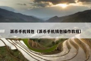 派币手机钱包（派币手机钱包操作教程）