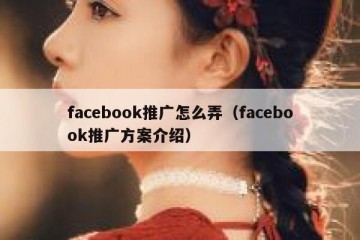 facebook推广怎么弄（facebook推广方案介绍）