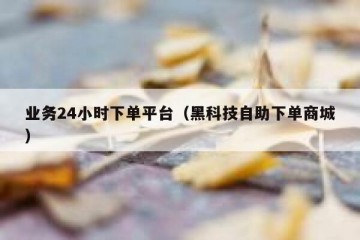 业务24小时下单平台（黑科技自助下单商城）