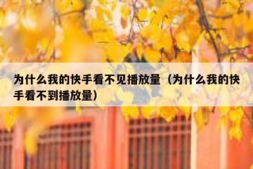 为什么我的快手看不见播放量（为什么我的快手看不到播放量）