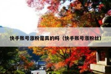 快手账号涨粉是真的吗（快手账号涨粉丝）