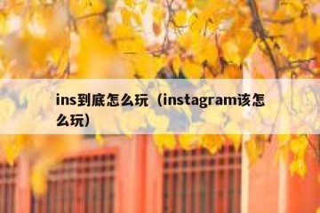 ins到底怎么玩（instagram该怎么玩）