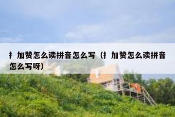扌加赞怎么读拼音怎么写（扌加赞怎么读拼音怎么写呀）