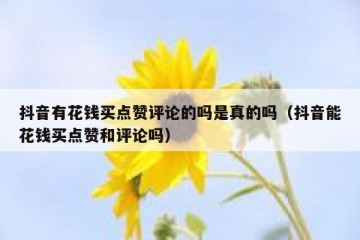 抖音有花钱买点赞评论的吗是真的吗（抖音能花钱买点赞和评论吗）