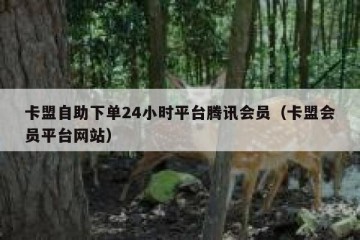 卡盟自助下单24小时平台腾讯会员（卡盟会员平台网站）