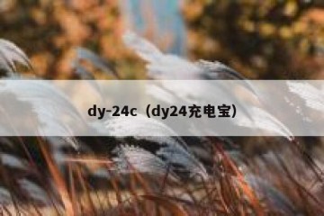 dy-24c（dy24充电宝）
