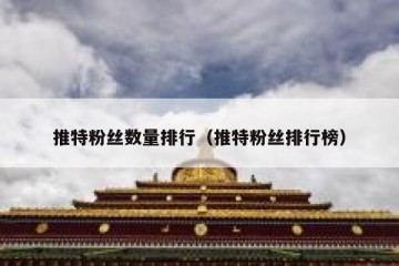 推特粉丝数量排行（推特粉丝排行榜）