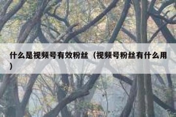 什么是视频号有效粉丝（视频号粉丝有什么用）