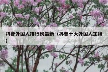 抖音外国人排行榜最新（抖音十大外国人主播）