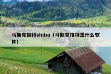 马斯克推特shiba（马斯克推特是什么软件）