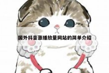 国外抖音涨播放量网站的简单介绍