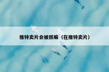推特卖片会被抓嘛（在推特卖片）