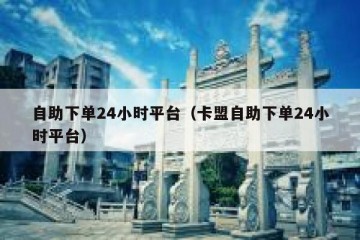 自助下单24小时平台（卡盟自助下单24小时平台）